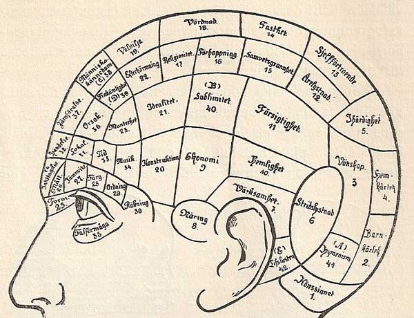 Illustration av ett huvud med de olika frenologiska organen markerade