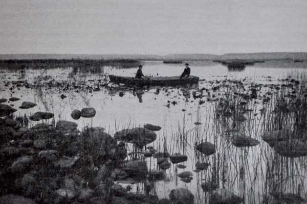 Fotografi föreställande en eka i Hornborgasjön