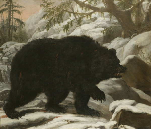 Målning föreställande en skadeskjuten björn