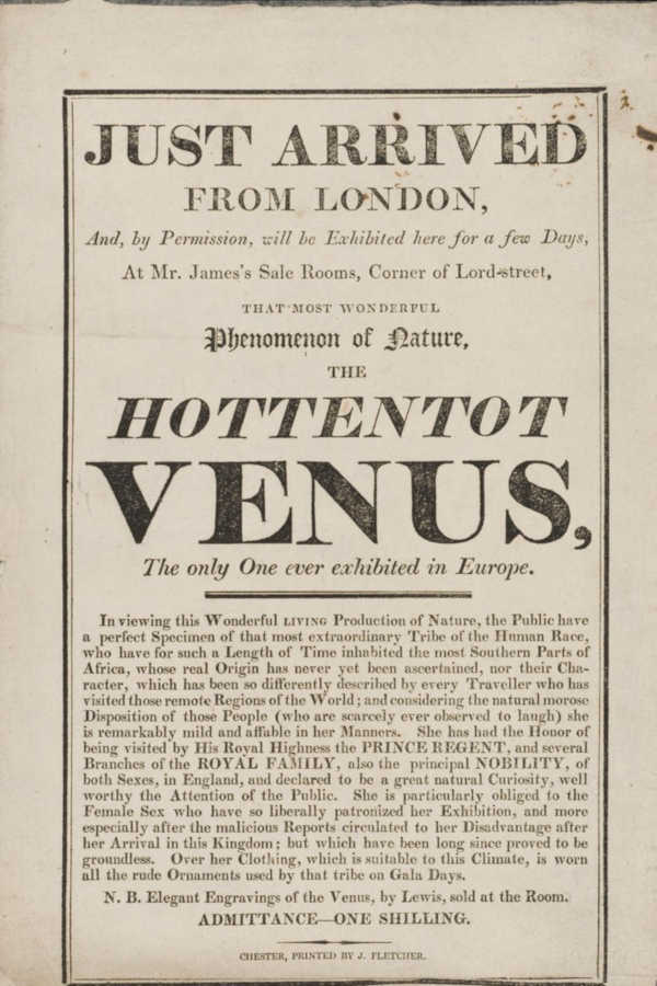 Utställningsplansch med texten: "Just arrived from London ... the Hottentot Venus.